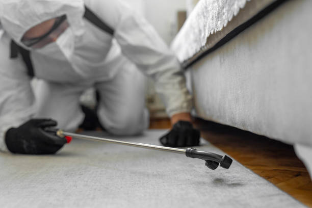 Professional Ant Control technician working in Herald Harbor, MD