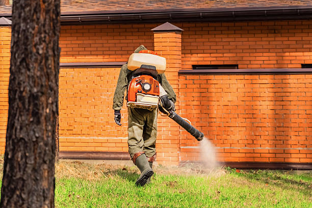 Trusted Ant Control service in Herald Harbor, MD - Nex Pest Control